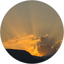 silvia S. profile picture